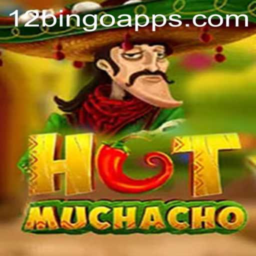 Discover HotMuchacho: Dive into the Exciting World of 12 Bingo