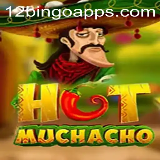 Discover HotMuchacho: Dive into the Exciting World of 12 Bingo